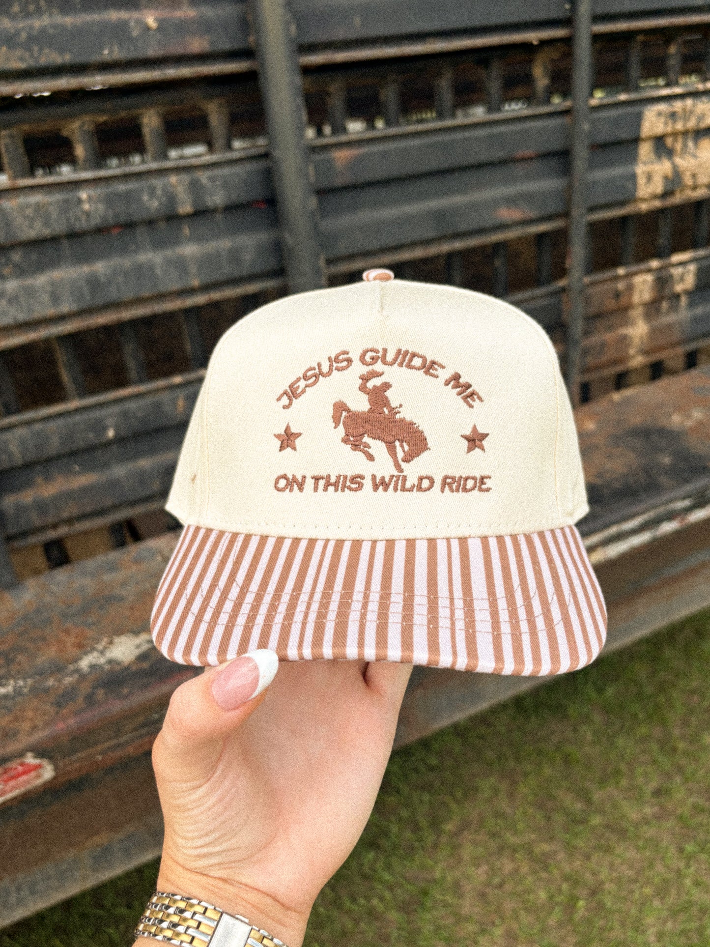 Jesus Guide Me On This Wild Ride- Brown + Pink Striped Hat