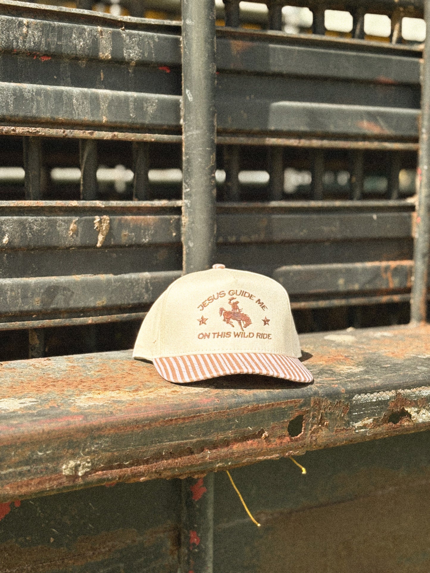 Jesus Guide Me On This Wild Ride- Brown + Pink Striped Hat